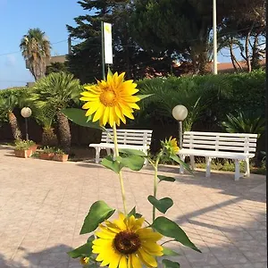 Fiori Gialli Caucana , Santa Croce Camerina Italien